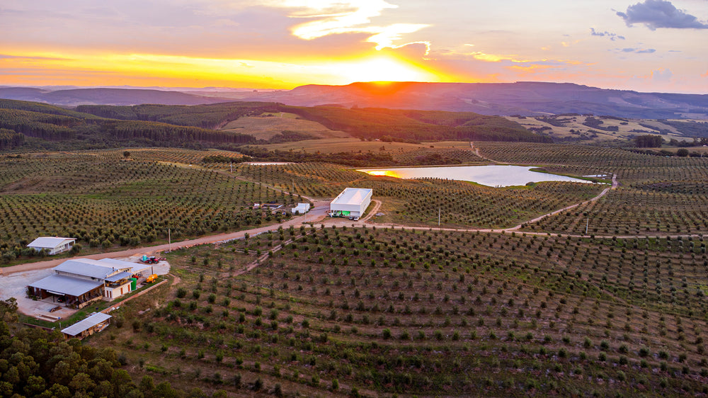 74 hectares em Encruzilhada do Sul/RS